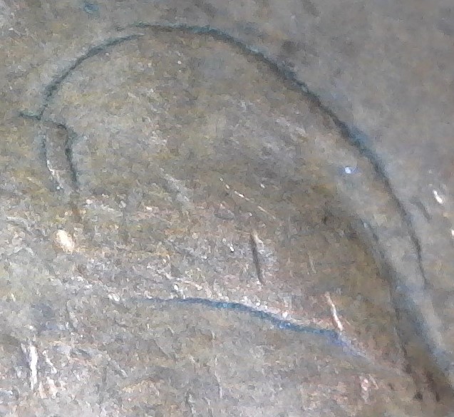 1957-D-Wheat-Cent-With-Nice-Huge-Retained-Interior-Die-Break-On-Head!